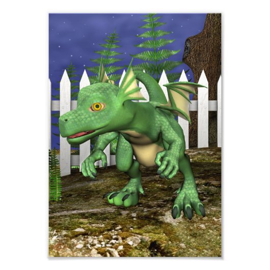リトルドラゴン フォトプリント            (正面)