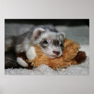 リトルドークスペニーポスター ポスター