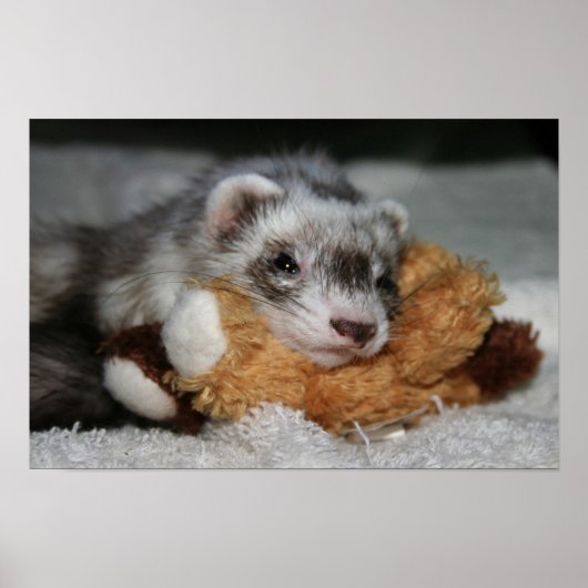 リトルドークスペニーポスター ポスター (正面)