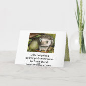 リトルハリネズミ カード (裏面)