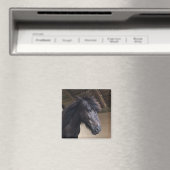 リトルバイキングホースノーブルヘッドマグネット マグネット (インサイチュ (食洗機))