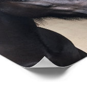 リトルバイキング馬 – ノーブルヘッドポスター ポスター (角)