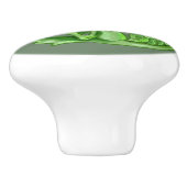 リトルバジルハーブドラゴン セラミックノブ (側面)