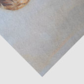 リトルバレリナガールデクページティッシュペーパー 薄葉紙 (詳細)