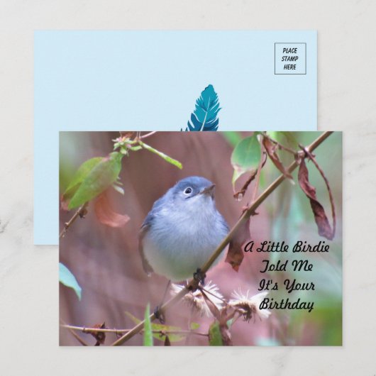 リトルバーディー誕生日ポストカード ポストカード (正面/裏面)
