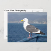 リトルバーディ ポストカード (正面/裏面)