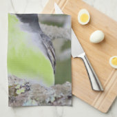 リトルバードキッチン キッチンタオル (四つ折り)