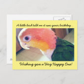 リトルバード誕生日 ポストカード (正面/裏面)