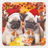 リトルパグステッカー スクエアシール (正面)