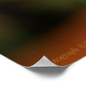 リトルヒョウ翼プリント ポスター (角)