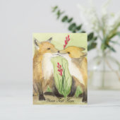 リトルビクセン ポストカード (スタンド正面)