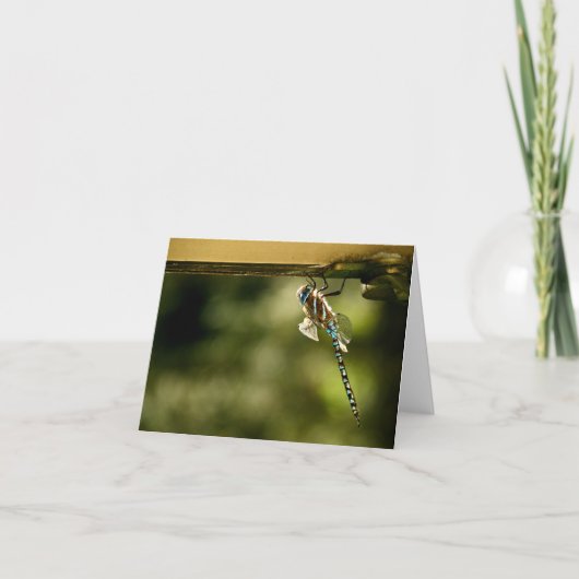 「リトルビジター」カード カード (正面)