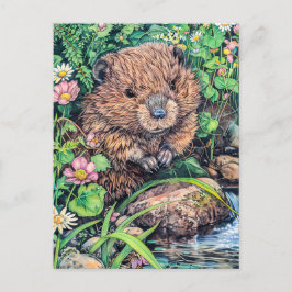 リトルビーバーバイクリークバンク ポストカード