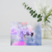 リトルビー ポストカード (スタンド正面)