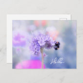 リトルビー ポストカード (正面/裏面)