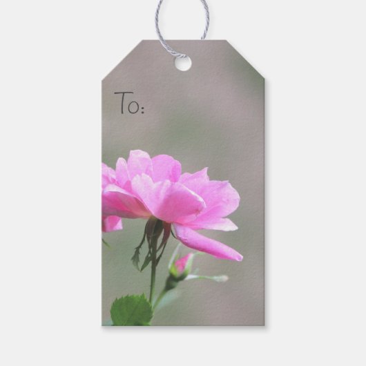 リトルピックバララベル ギフトタグ (正面)