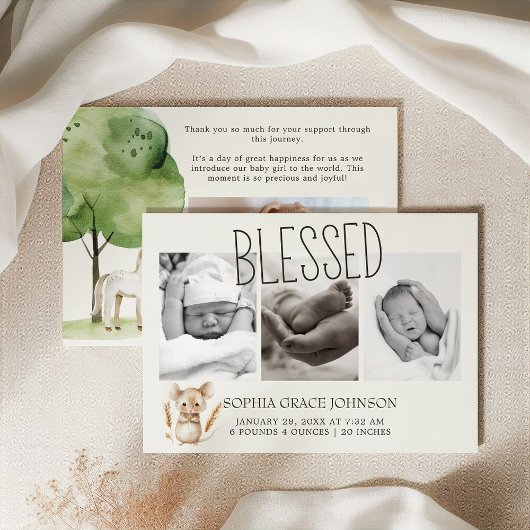 リトルファーム子供部屋動物ベビー発表 招待状