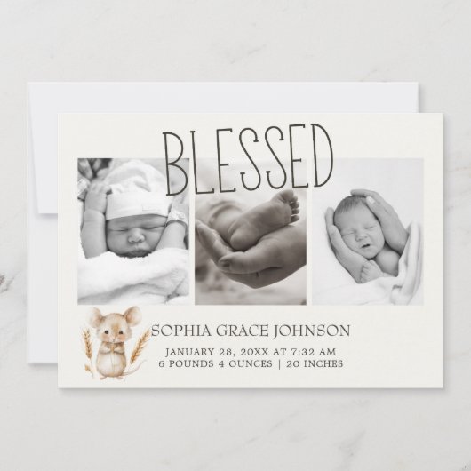 リトルファーム子供部屋動物ベビー発表 招待状 (正面)