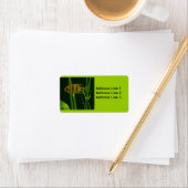 リトルフィッシュラベル ラベル (インサイチュ)