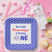 リトルフィレクラッカー1st誕生日 ペーパープレート (パーティー)