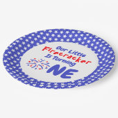 リトルフィレクラッカー1st誕生日 ペーパープレート (アングル)