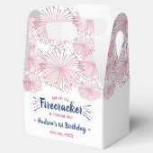 リトルフィレクラッカー7月1日の4th誕生日パーティー フェイバーボックス (オープン)