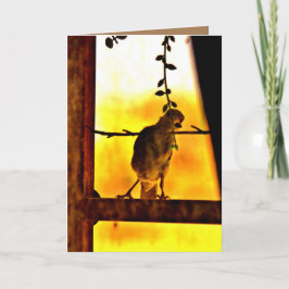 リトルフィンチ カード