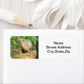 リトルフォックス差出人住所ラベル ラベル (インサイチュ)