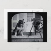 リトルフォトグラファーと彼女の聖ベルナールヴィンテージ ポストカード (正面/裏面)