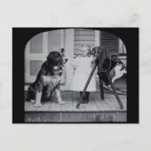 リトルフォトグラファーと彼女の聖ベルナールヴィンテージ ポストカード (正面)