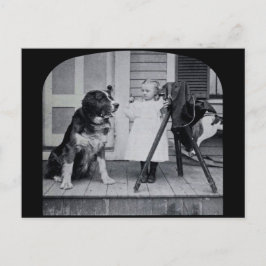 リトルフォトグラファーと彼女の聖ベルナールヴィンテージ ポストカード