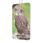 リトルフクロウカーの空気清浄機 カーエアーフレッシュナー (左)