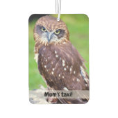 リトルフクロウカーの空気清浄機 カーエアーフレッシュナー (裏面)