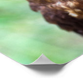 リトルフクロウポスター ポスター (角)