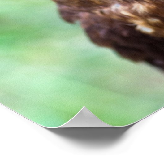 リトルフクロウポスター ポスター (角)