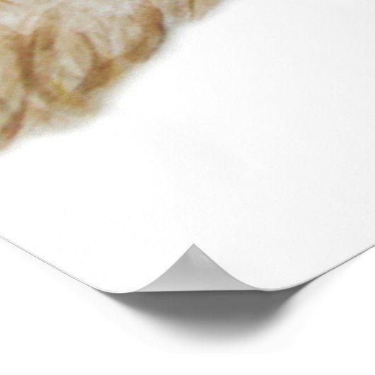 リトルフクロウ2011 ポスター (角)