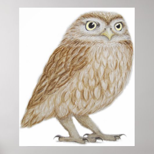 リトルフクロウ2011 ポスター (正面)