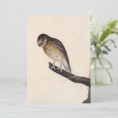 リトルフクロウ | ウィリアム・リーウィン (スタンド正面)