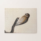 リトルフクロウ | ウィリアム・リーウィン ジグソーパズル (横)