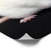 リトルフラワー – Rat Poster ポスター (角)