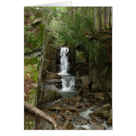 リトルフロムカード