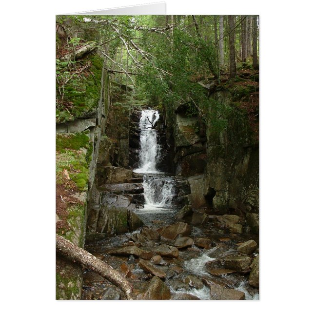 リトルフロムカード (正面)