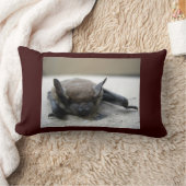 リトルブラウンこうもり(筋炎) ランバークッション (ブランケット)