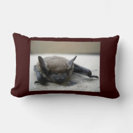 リトルブラウンこうもり（筋炎） ランバークッション