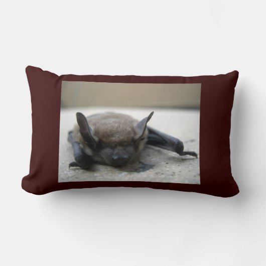 リトルブラウンこうもり(筋炎) ランバークッション (正面)