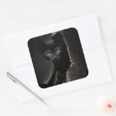 リトルブラック子猫 スクエアシール (封筒)