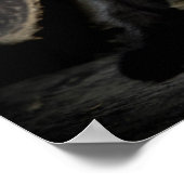 リトルブラック子猫 ポスター (角)