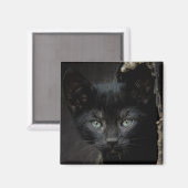リトルブラック子猫 マグネット (正面/裏面)