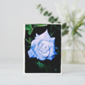 リトルブループリンセス ポストカード (スタンド正面)