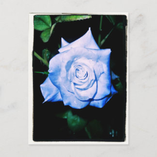 リトルブループリンセス ポストカード